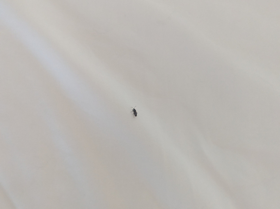 Clarion Hotel Convention Center主图