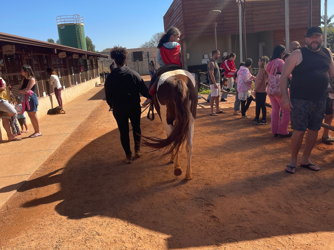 Barretos Country Park & Resort主图