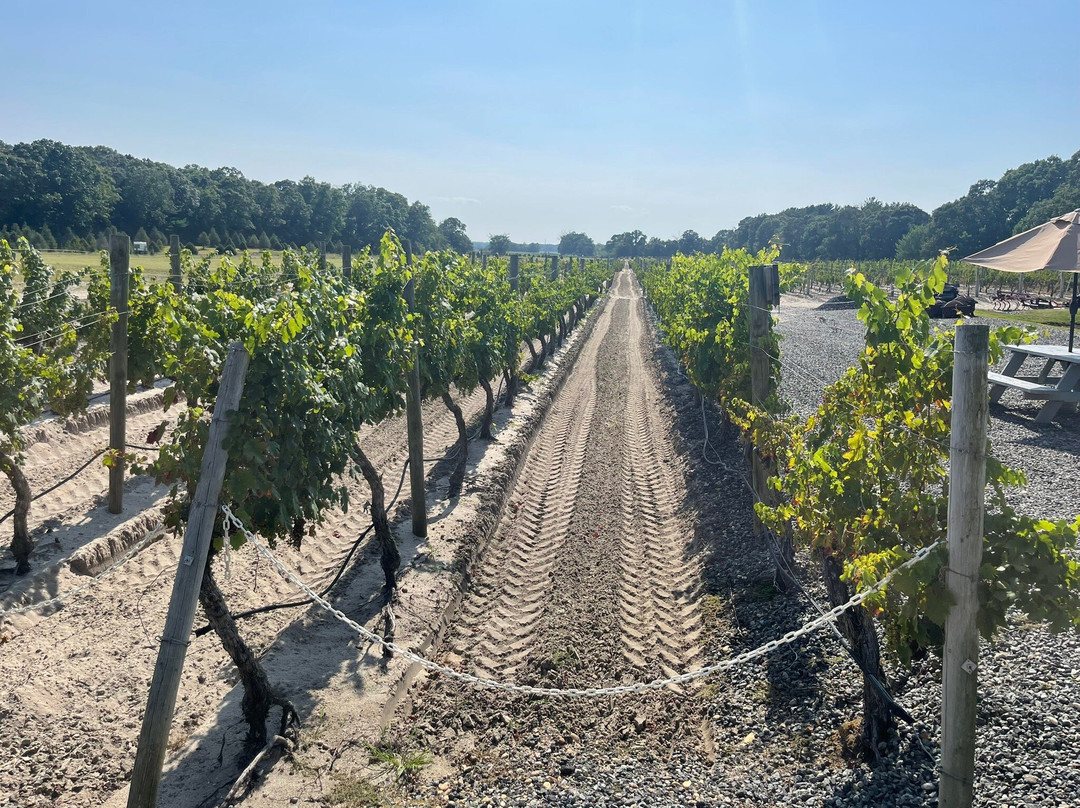 Plagido's Winery-Hammonton必去景点