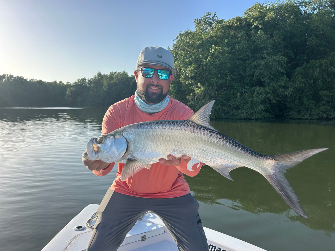 Puerto Rico Magic Tarpon-圣胡安必去景点