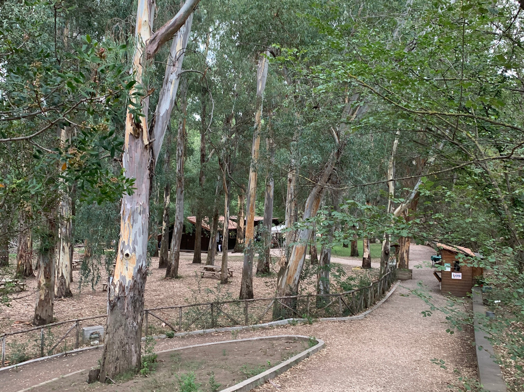 Sorgenti Su Gologone-Oliena必去景点