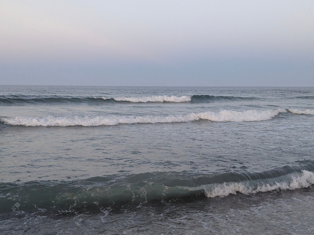 Nauset Beach-奥尔良必去景点