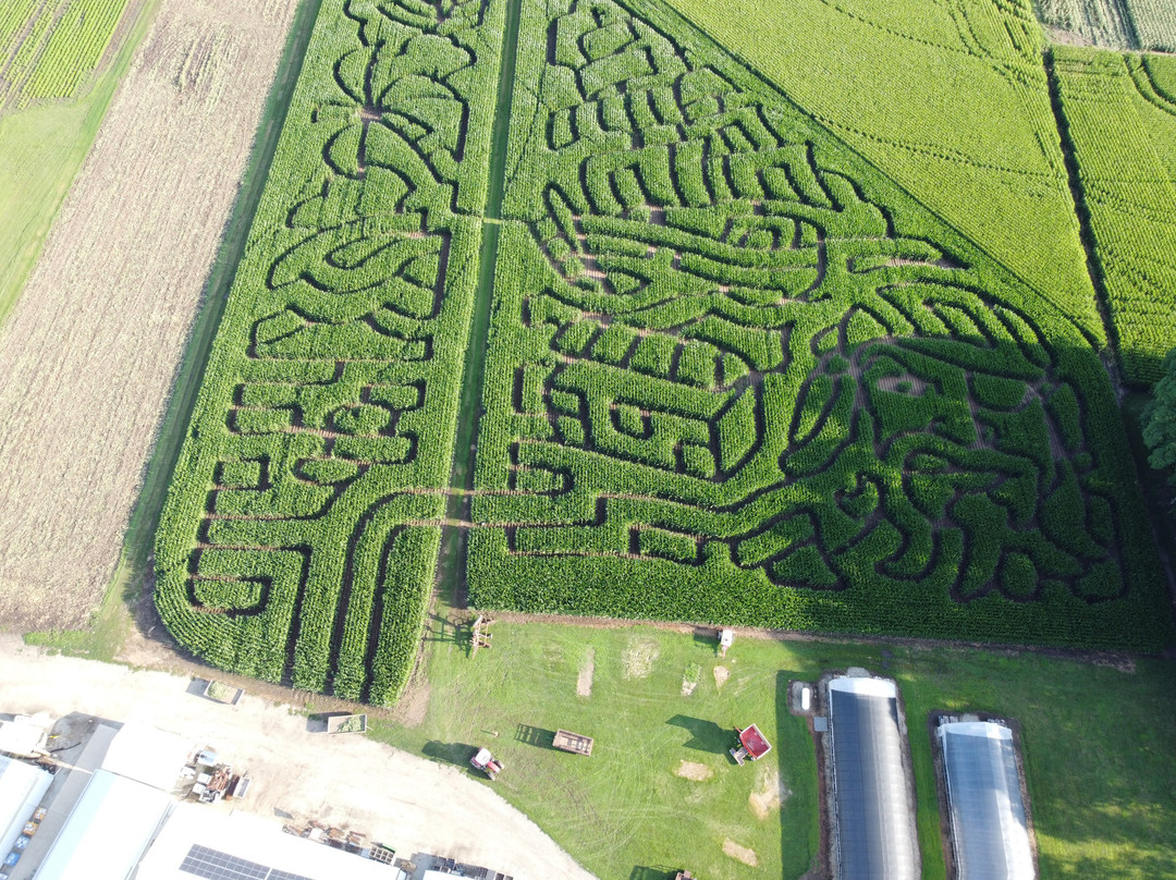 Selmi's Greenhouse and Family Farm-Rock Falls必去景点