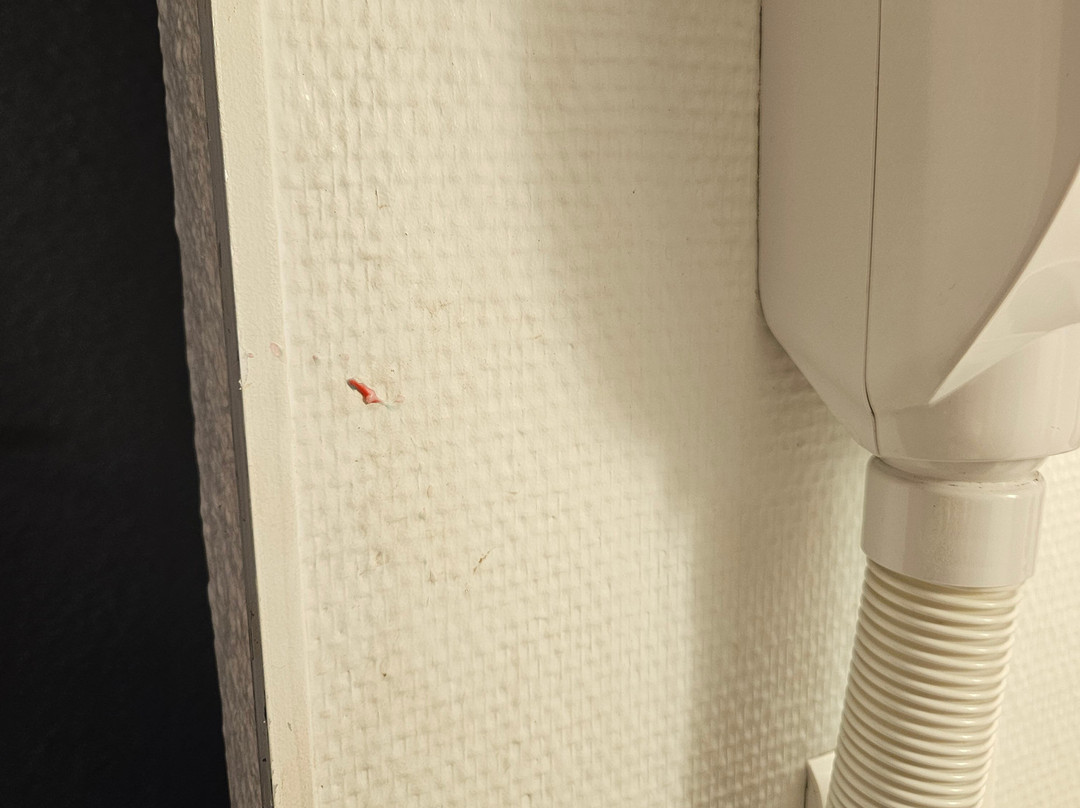 Hotel ibis budget Sisteron主图