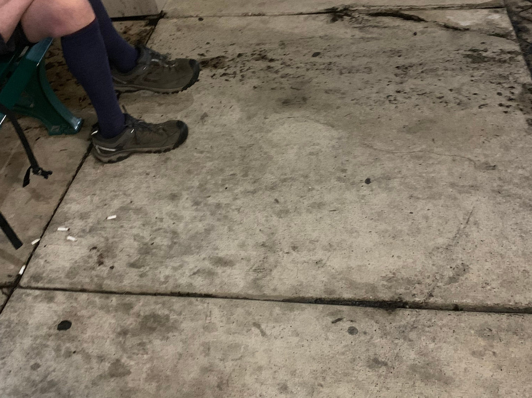 Skyline Hotel Detroit Airport, Surestay Collection By BW主图