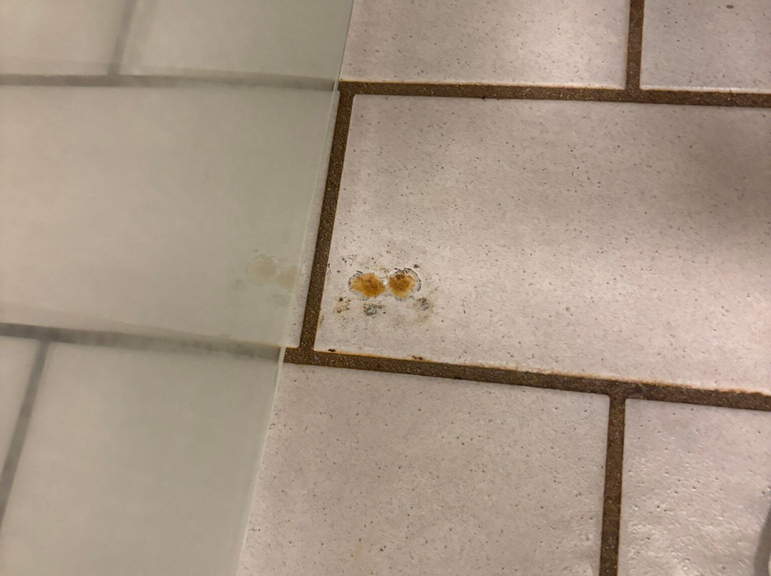 赫戈勃布鲁克泰尔酒店主图
