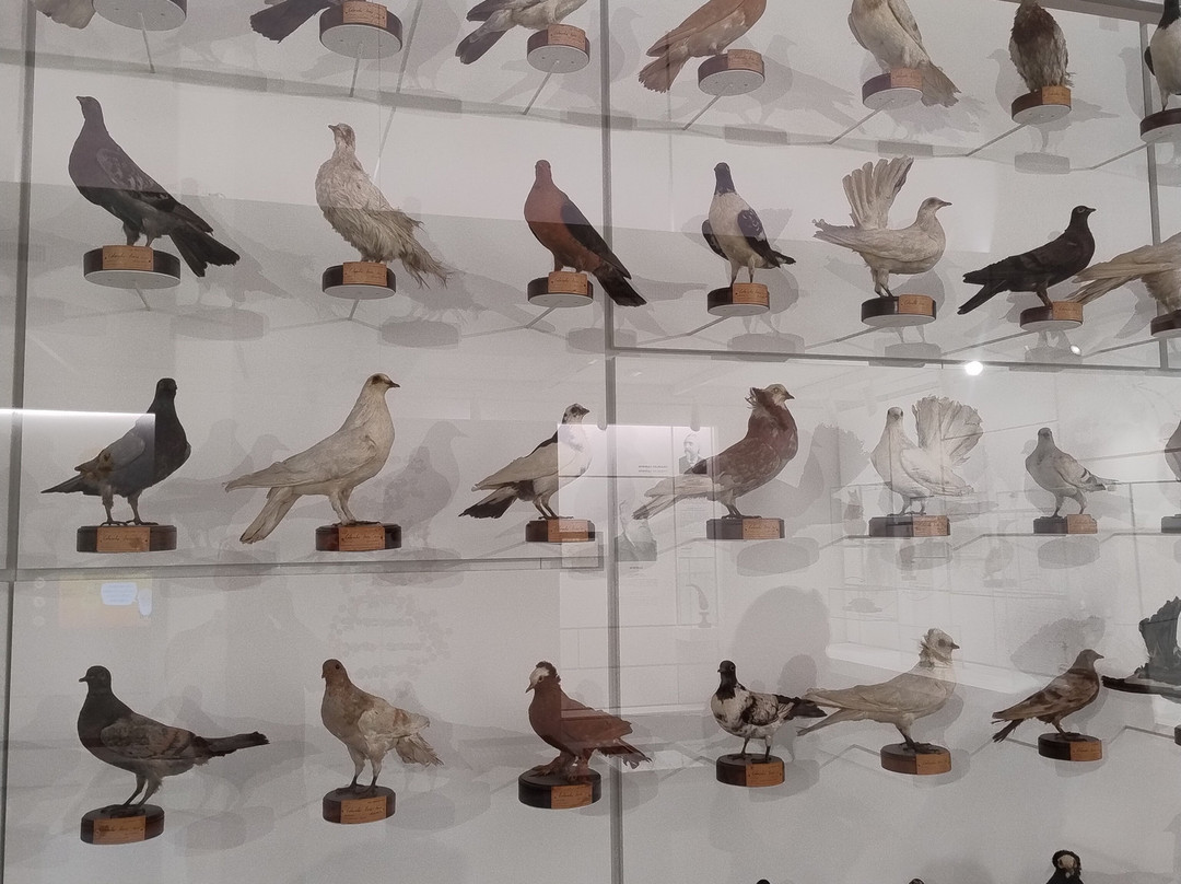Kosmos - Natural History Museum-帕维亚必去景点