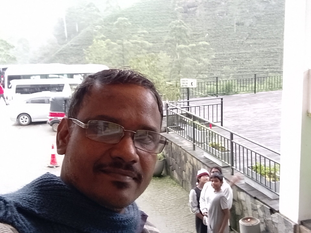 mini tuk tuk nanuoya tours-Nanu Oya必去景点