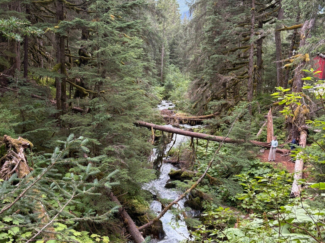 Virgin Creek Falls Trail-戈德伍德必去景点