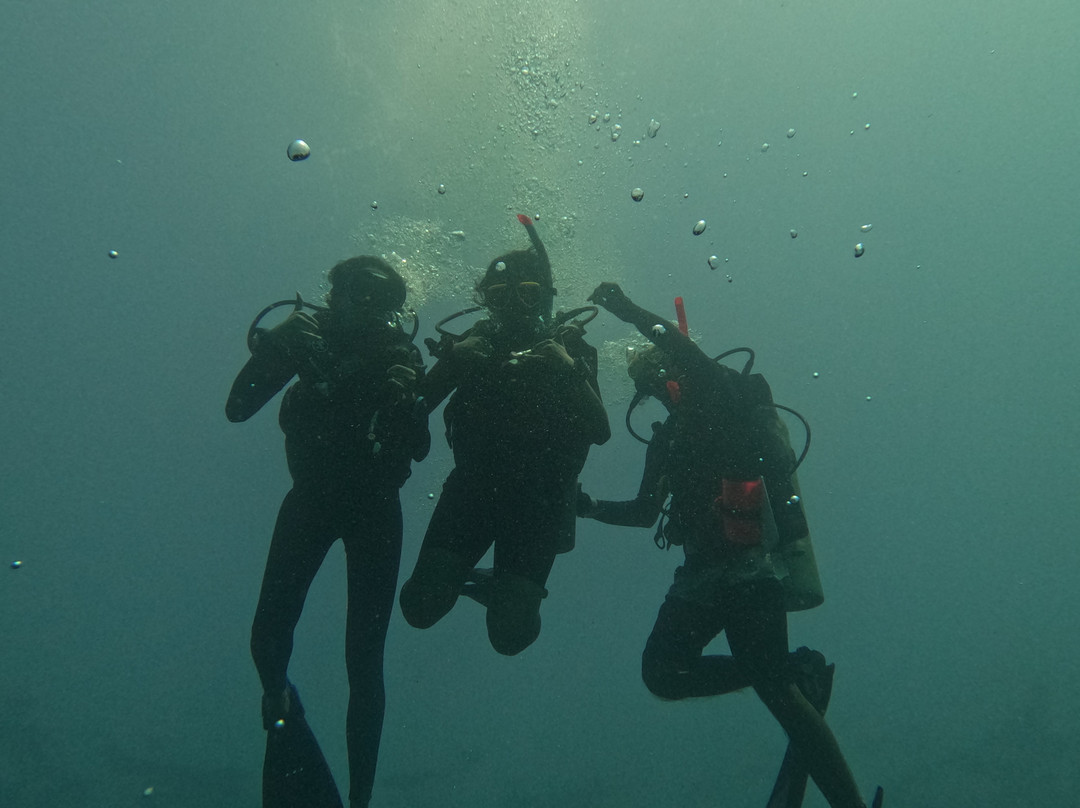 Turquoise Dream | PADI Dive Centre-Neil Island必去景点