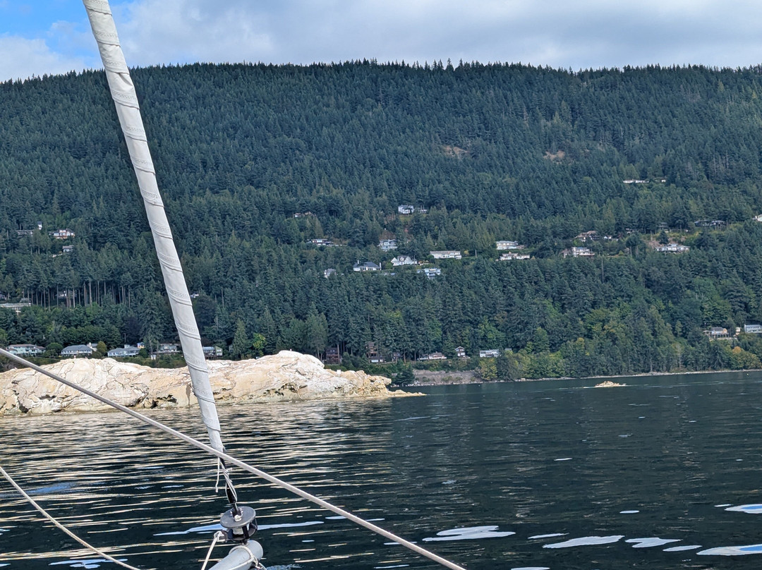 Gato Verde Adventure Sailing-贝灵厄姆必去景点