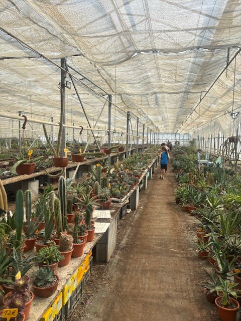 Cactuseraie de Creismeas-Guipavas必去景点