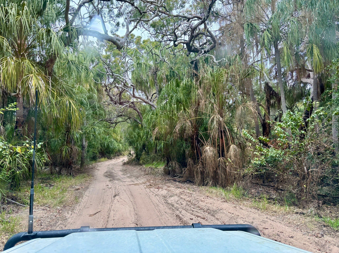 Moondoggie Beach & Bush Tours-Agnes Water必去景点