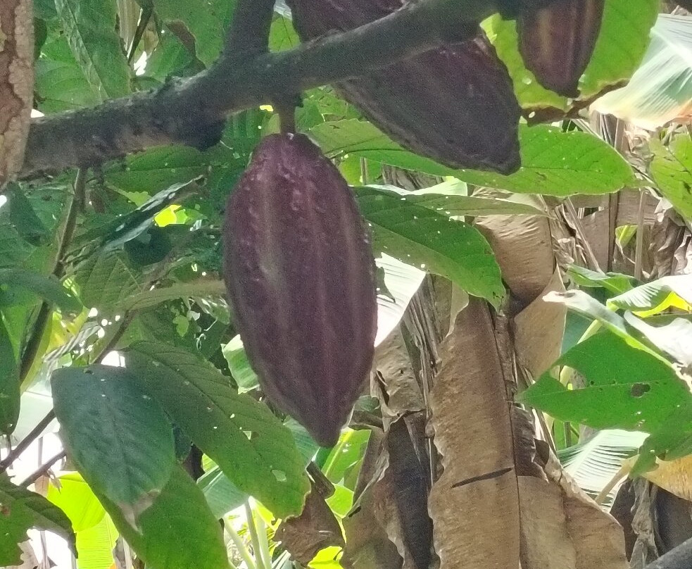 Sierraventur Travel-圣玛尔塔必去景点