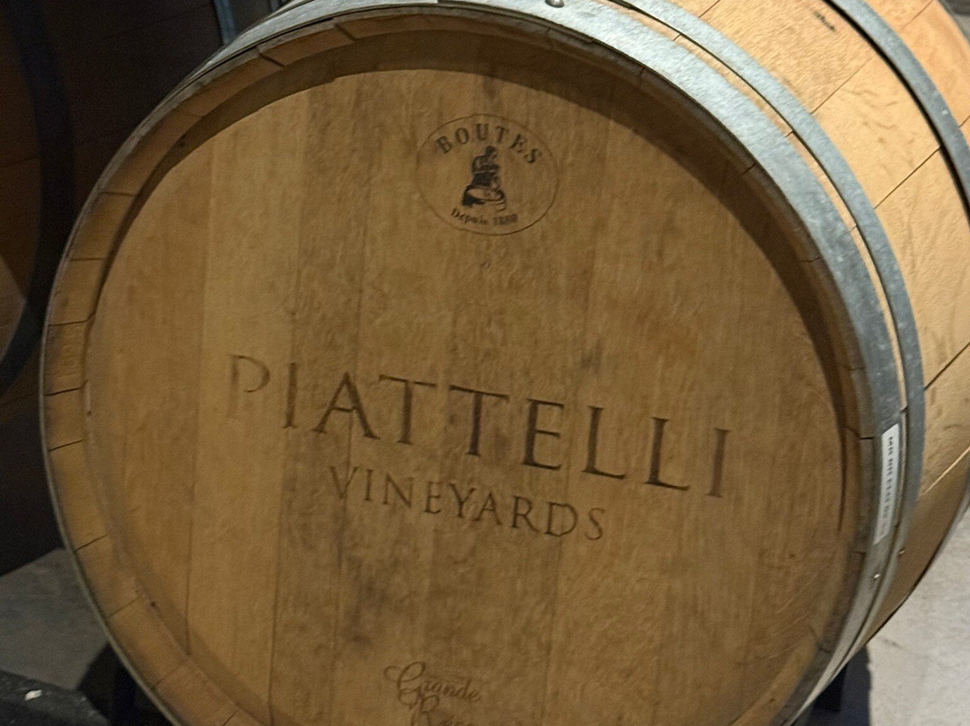 Bodega Piattelli Agrelo, Mendoza-阿格雷洛必去景点