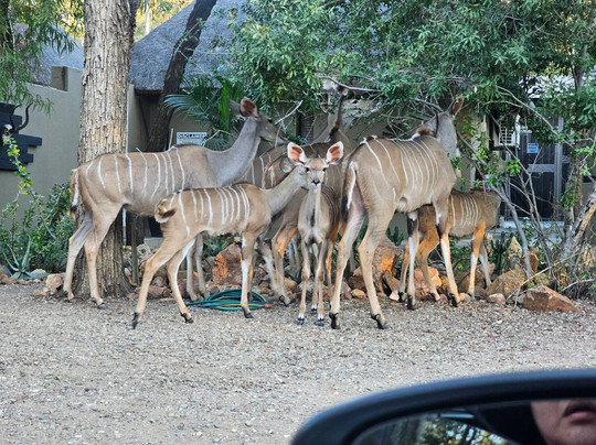 African Sky Villas主图