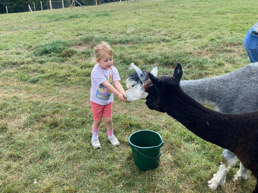 Fisherwood farm-Robertsbridge必去景点