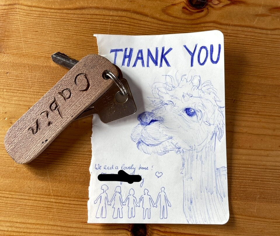 Waterfall Alpaca Farm-Drimoleague必去景点