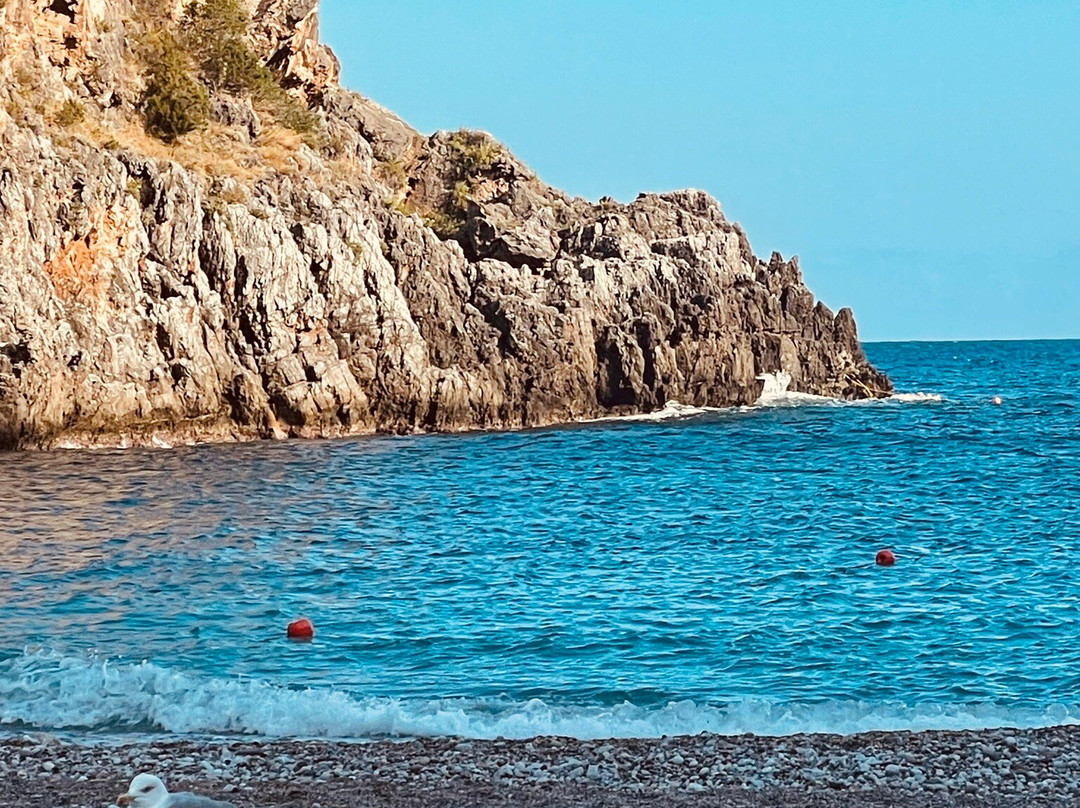 Spiaggia del Pozzallo-Marina di Camerota必去景点