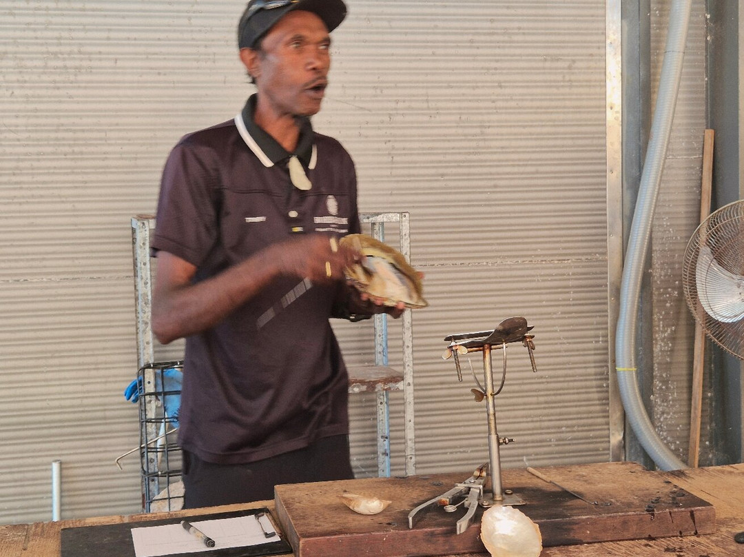 Cygnet Bay Pearl Farm Tours-Dampier Peninsula必去景点