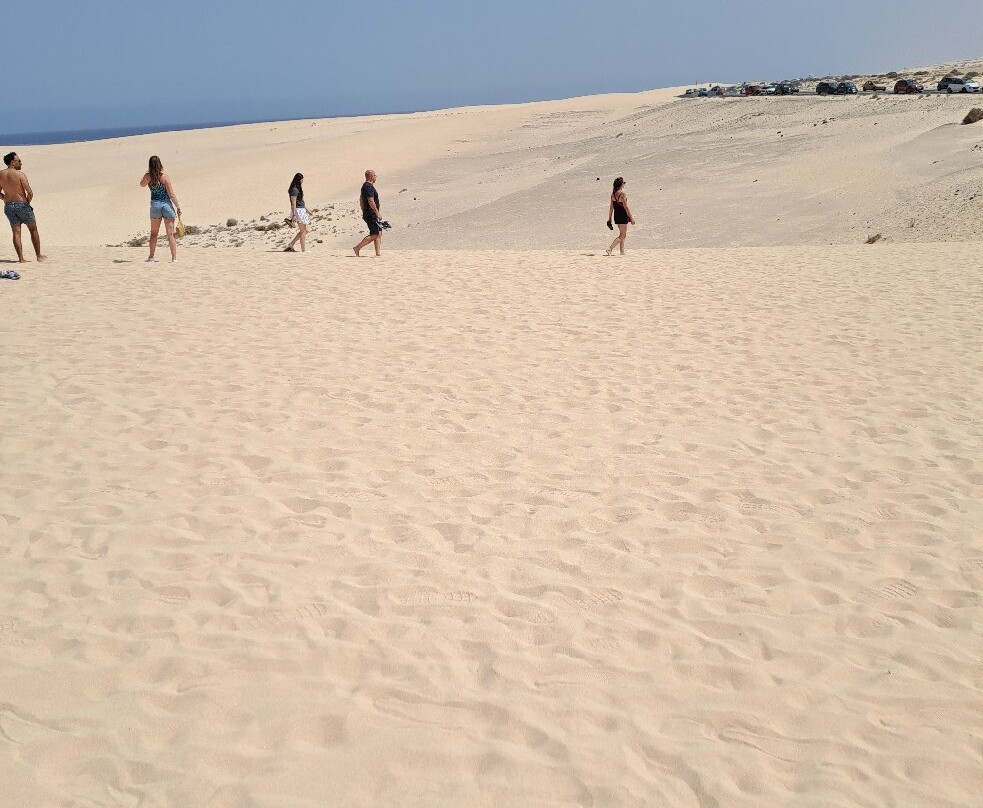 Dunas De Corrallejo-科拉雷侯必去景点