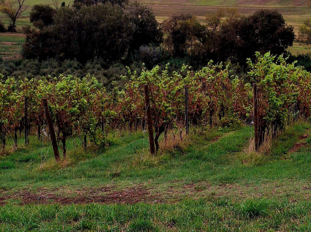 Fattoria le Terrazze-努马纳必去景点