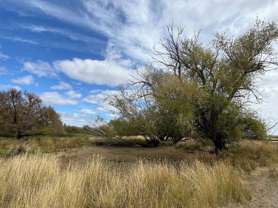 Ross Female Factory-罗斯必去景点