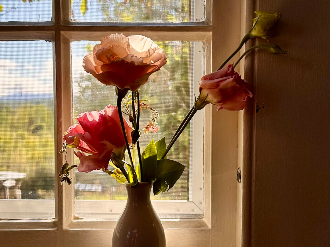 Adair Country Inn & Restaurant主图