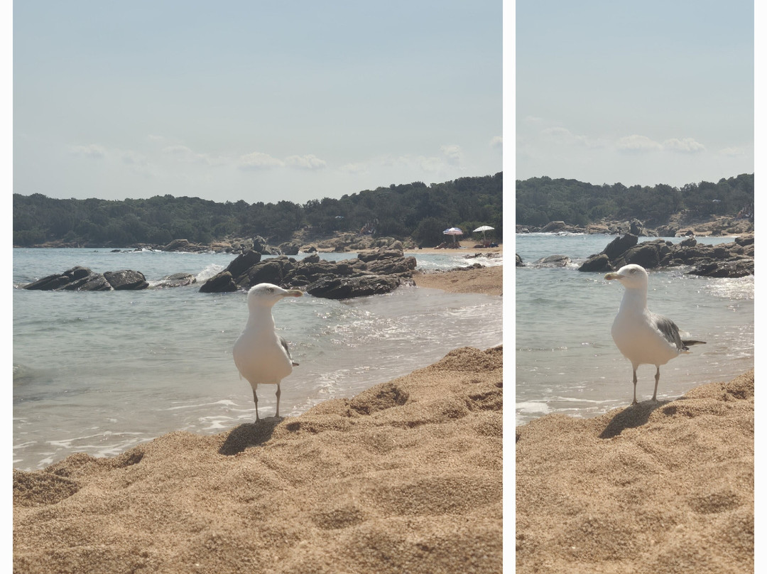Spiaggia Le Piscine-Cannigione必去景点