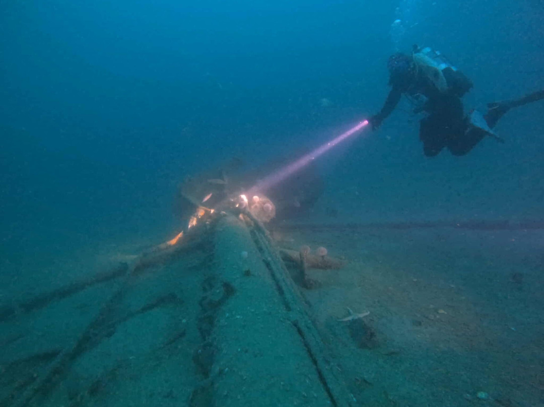 Kraken Diving-Birsay必去景点