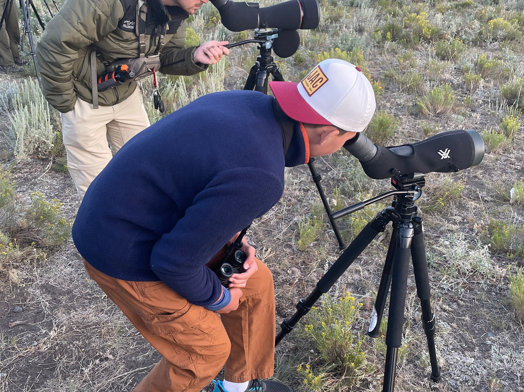 Yellowstone Wild-加德纳必去景点