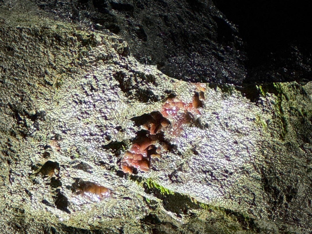 Steinkaulenberg Gemstone Mine-伊达尔-奥伯施泰因必去景点
