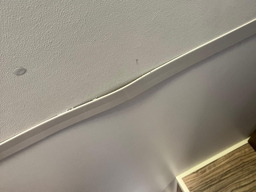 考恩蒂基酒店主图