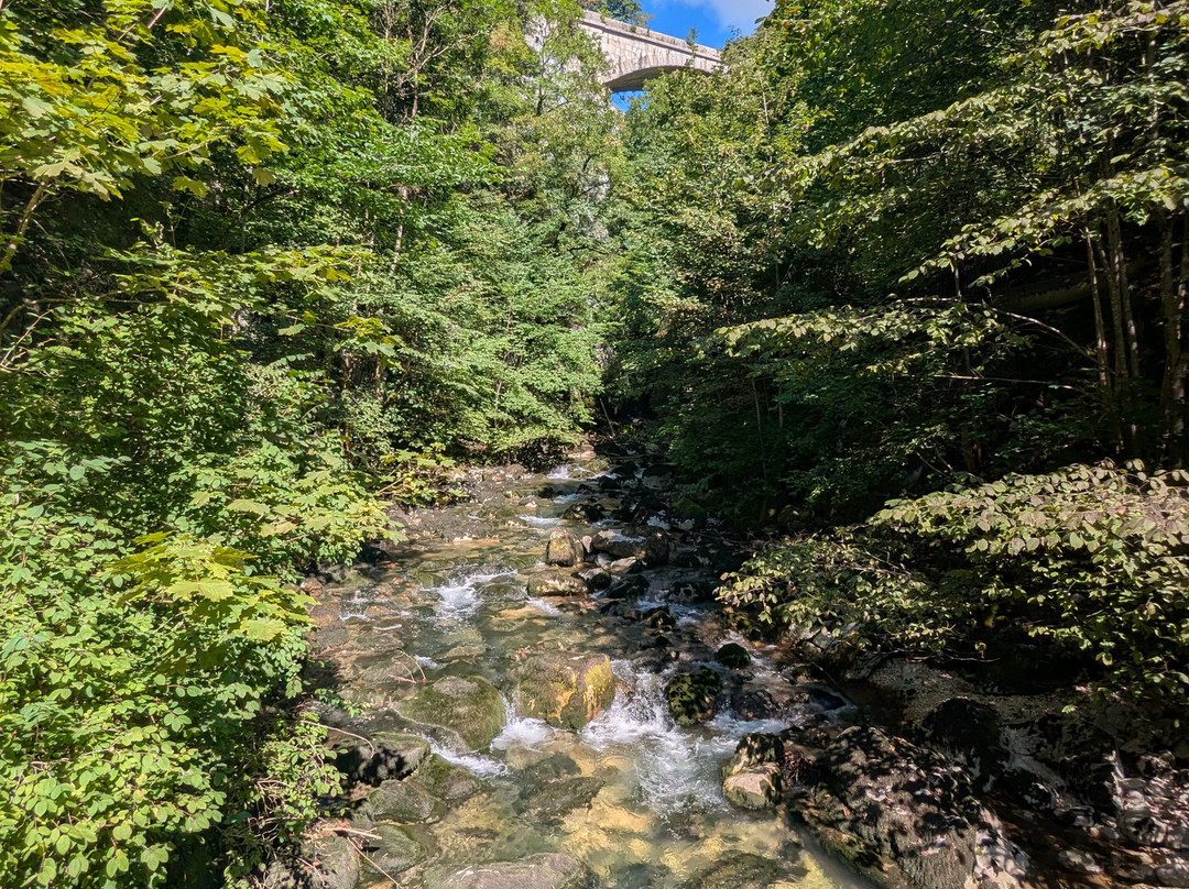 Taubenlochschlucht-比尔必去景点