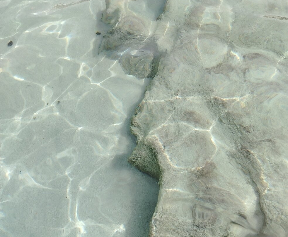 Platja Des Arenals-福门特拉岛必去景点