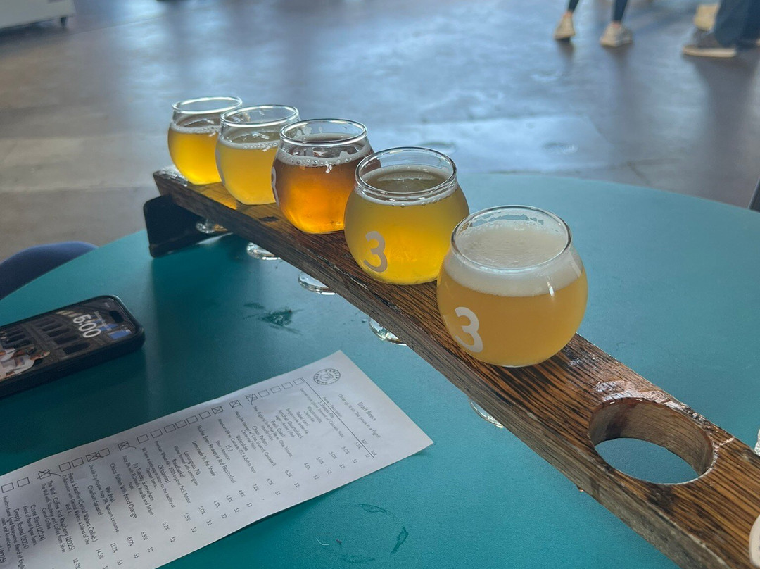 3 Sheeps Brewing Company-希博伊根必去景点