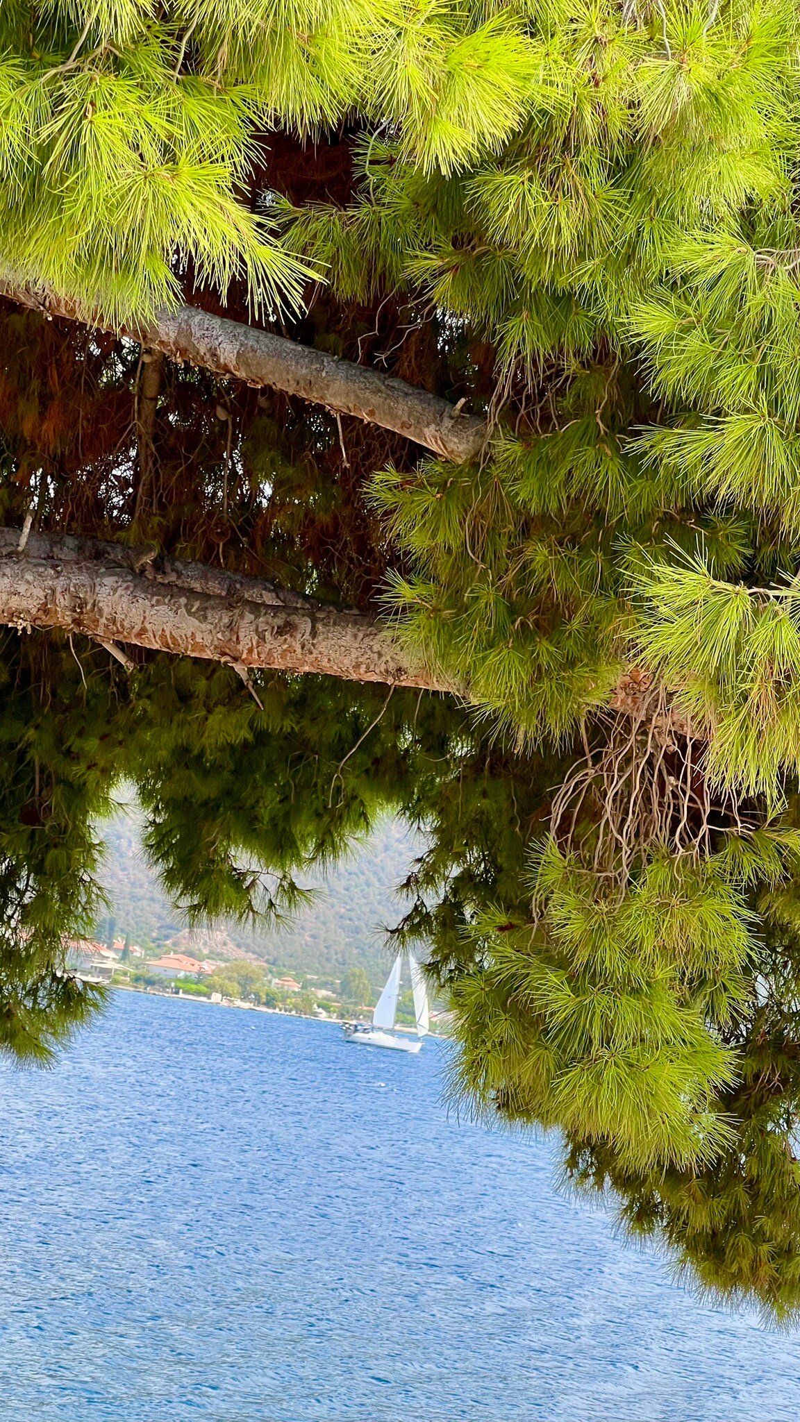 Trizonia Bay Hotel-官方