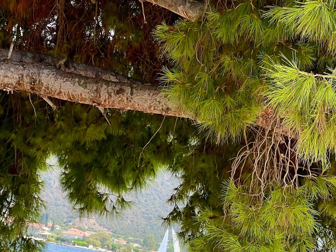 Trizonia Bay Hotel主图