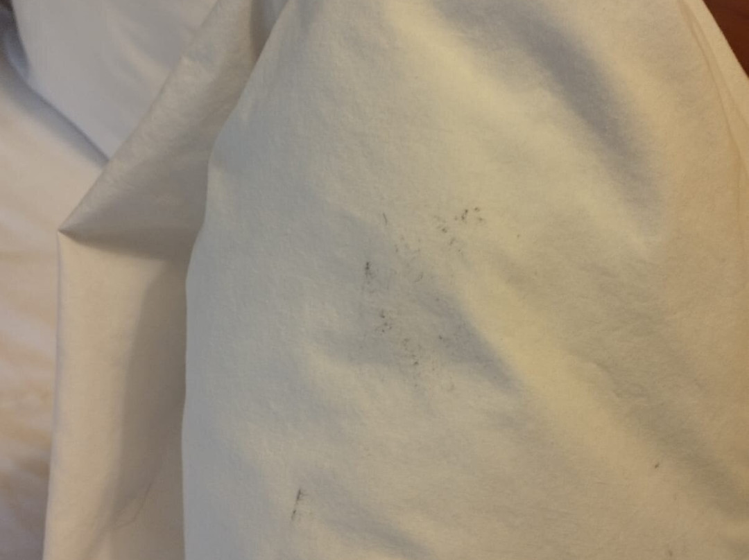 图莱利拉金塔旅馆及套房酒店主图