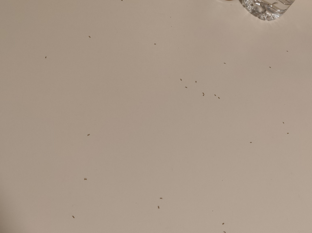 Carisa Maleme Hotel主图