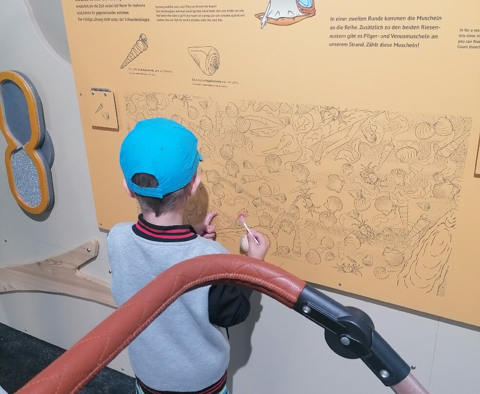 Fossilienwelt Weinviertel-Stetten必去景点