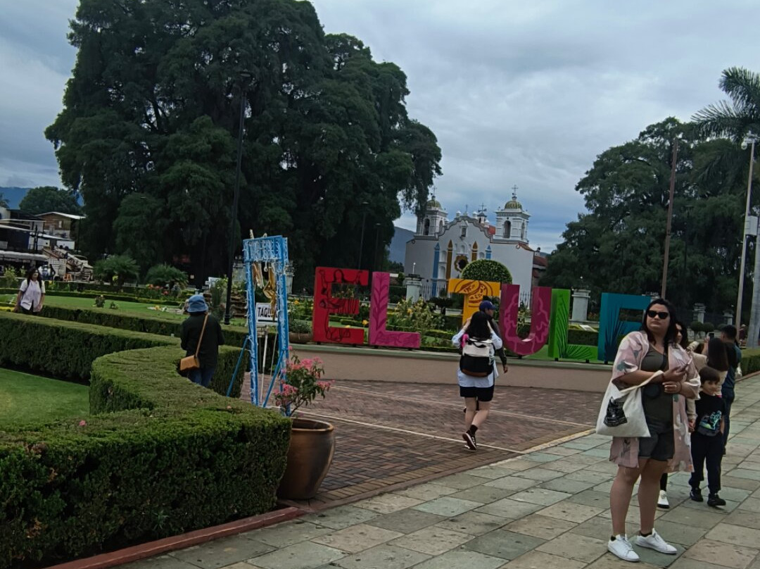 Tule Tree-Santa Maria del Tule必去景点