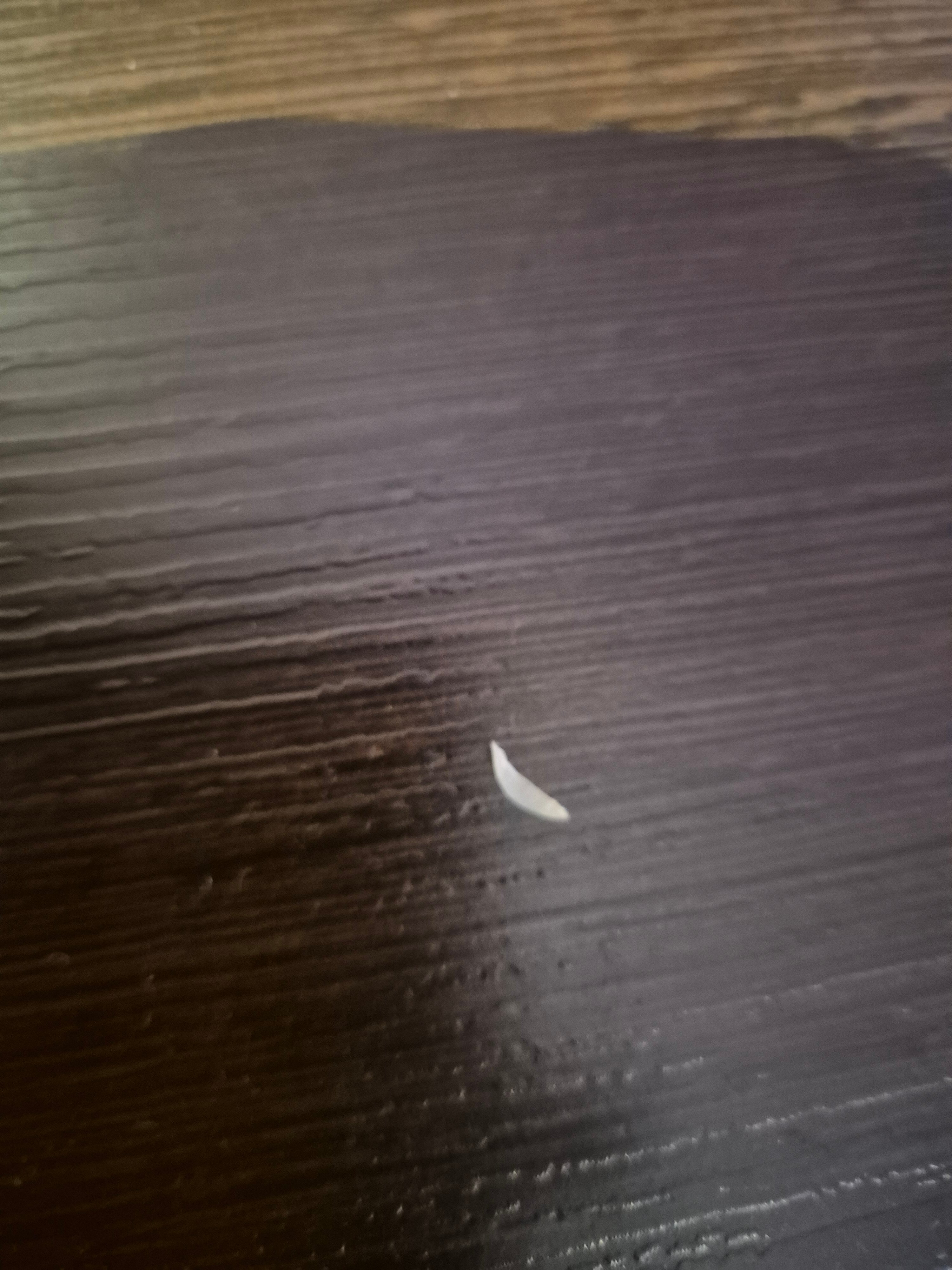 Premier Inn Milton Keynes (Willen Lake) Hotel-官方