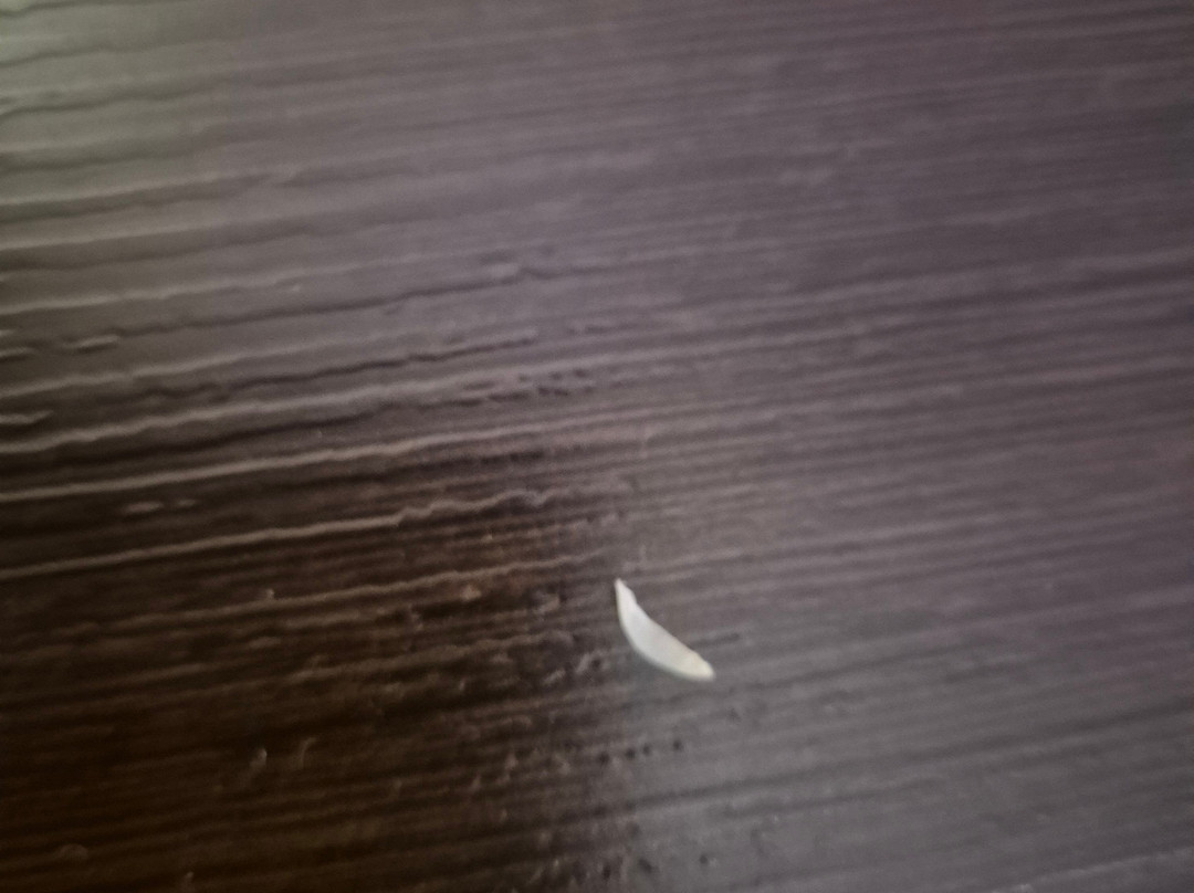 Premier Inn Milton Keynes (Willen Lake) Hotel主图