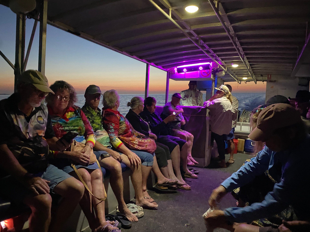 Croc and Crab Tours Karumba Day Tours-Karumba必去景点