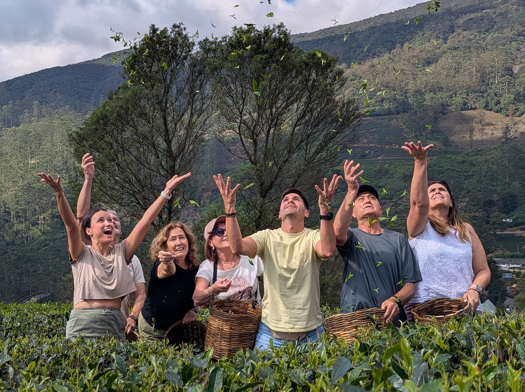 Smile and Drive Tours-赛杜瓦必去景点