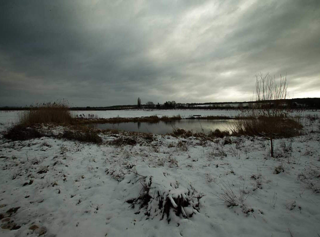 Clandon Wood-East Clandon必去景点