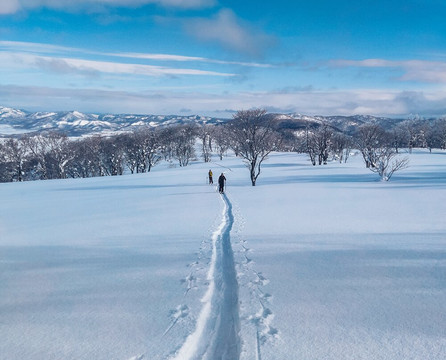Stay Wild Travel Factory-米兰必去景点