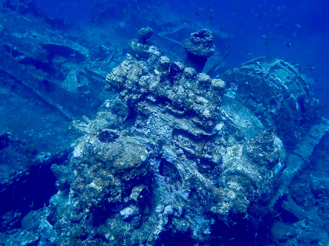 Seabob Aruba-Noord必去景点