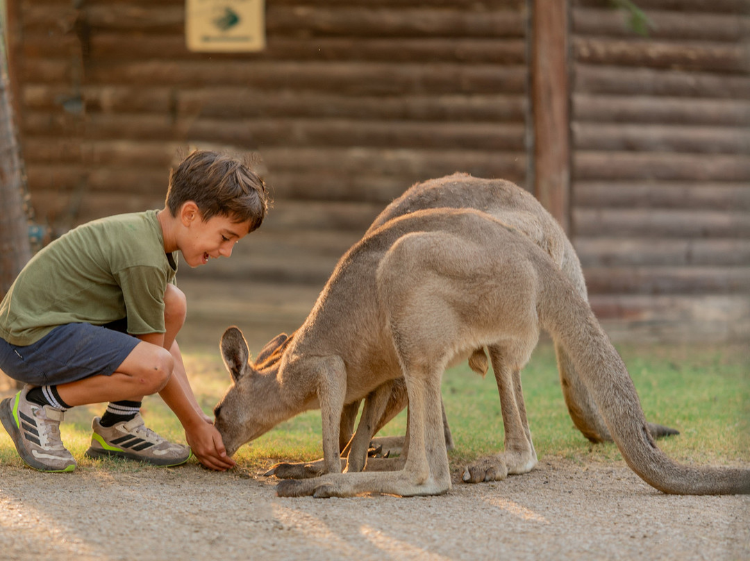 Gan Garoo Zoo-Nir David必去景点